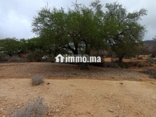 bkaa-ardy-bmntk-alma-laashak-alhdoaa-oaltbyaa