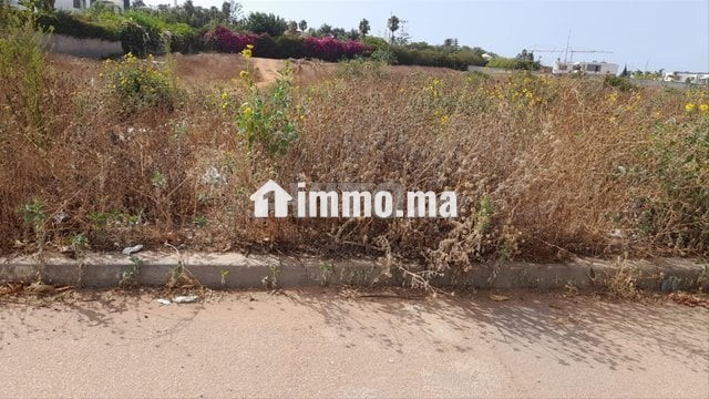 terrain-zone-villa-al-machrik-sur-route-de-zair-big-0