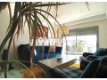 appartement-moderne-palmier-small-4