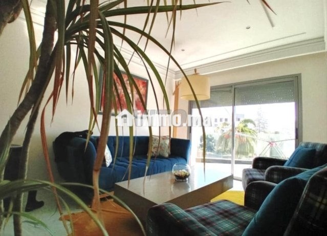 appartement-moderne-palmier-big-4