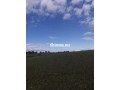 terrain-agricole-a-vendre-a-bouznika-small-0