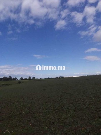 terrain-agricole-a-vendre-a-bouznika-big-0