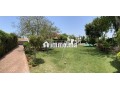 villa-2000m-a-louer-a-souissi-small-3