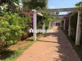 villa-2000m-a-louer-a-souissi-small-6