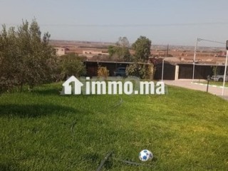 7200-mtr-fyha-mshroaa-mkh-omlaab-alkr-obysyn