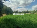 ardy-llbyaa-btmn-mnasb-small-10