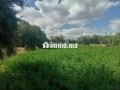 ardy-llbyaa-btmn-mnasb-small-11
