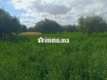 ardy-llbyaa-btmn-mnasb-small-12