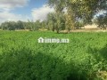 ardy-llbyaa-btmn-mnasb-small-13