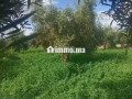 ardy-llbyaa-btmn-mnasb-small-14