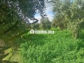 ardy-llbyaa-btmn-mnasb-small-6