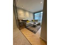 superbe-studio-meuble-de-42m2-small-3