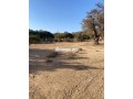 terrain-titre-a-tagadirat-small-0