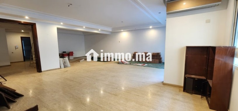 a-louer-appartement-renove-de-300-m2-a-racine-big-8