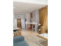superbe-appartement-2-chambres-a-ghandi-small-7