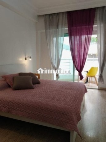 superbe-appartement-2-chambres-a-ghandi-big-2