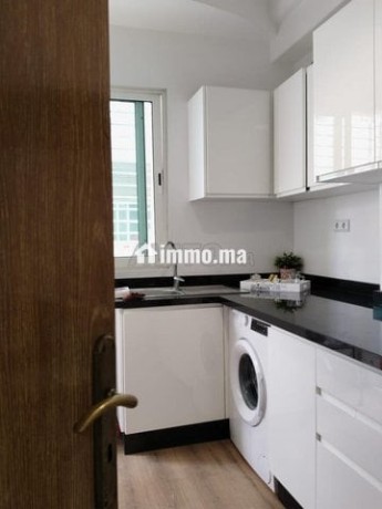 superbe-appartement-2-chambres-a-ghandi-big-3