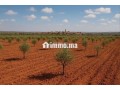 terrain-agricole-a-vendre-bourrous-marrakech-small-0