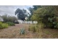 2000-m2-a-vendre-rabat-small-0
