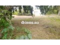 2000-m2-a-vendre-rabat-small-4