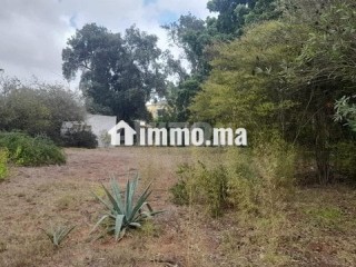 2000-m2-a-vendre-rabat