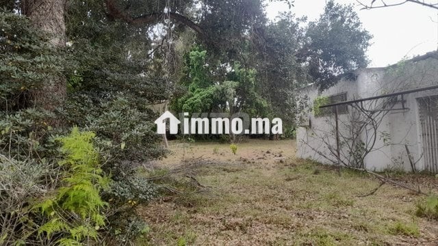 2000-m2-a-vendre-rabat-big-3