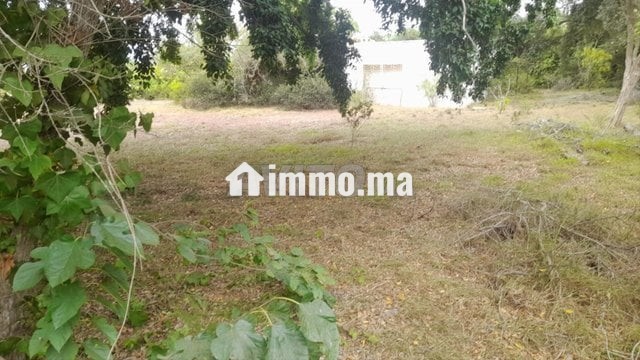 2000-m2-a-vendre-rabat-big-4