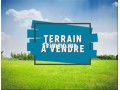 terrain-a-vendre-a-almaz-small-0