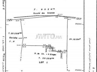 terrain-a-vendre-a-boukhalef-1600m2