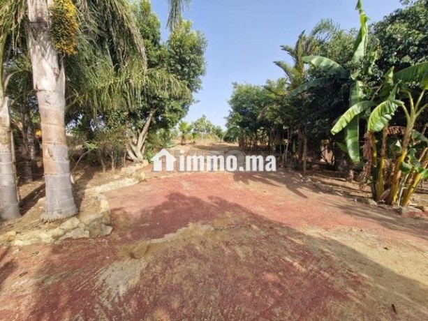 maison-a-louer-douar-lhomar-location-longue-duree-big-6
