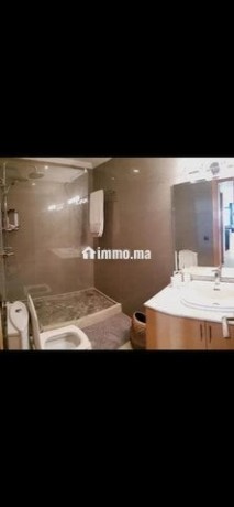 spacieux-studio-meuble-a-racine-big-1