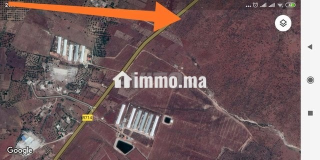 terrain-95ha-sidi-khyar-fes-big-1
