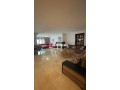 superbe-appartement-meuble-a-racine-small-0