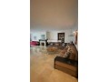 superbe-appartement-meuble-a-racine-small-3