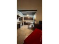 superbe-appartement-meuble-a-racine-small-4