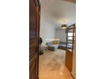 superbe-appartement-meuble-a-racine-small-7