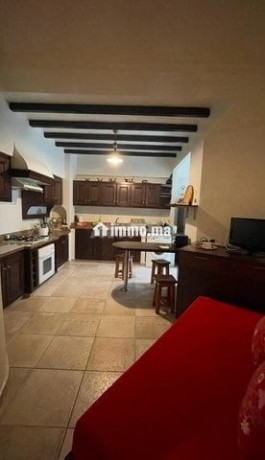 superbe-appartement-meuble-a-racine-big-4