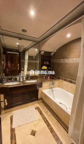 superbe-appartement-meuble-a-racine-big-5