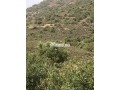 terrain-a-tahanaout-small-2