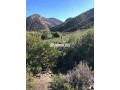 terrain-a-tahanaout-small-3