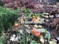 terrain-a-tahanaout-small-4