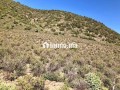 terrain-a-tahanaout-small-6
