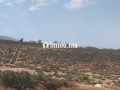 terrain-pour-projet-dhotel-small-1