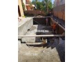 construisez-votre-villa-piscine-ou-bungalow-small-7