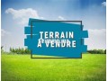 terrain-a-vendre-titre-rt-de-fes-km6-small-0