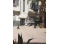 garconniere-a-zoubir-small-0