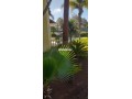 belle-villa-haut-standing-2000-m2-rabat-souissi-small-6