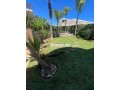 villa-a-louer-a-hay-laymoune-small-0