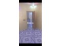 shk-skny-llkraaa-small-4