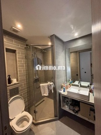 appart-93m-meuble-luxe-a-ferme-bretone-big-2